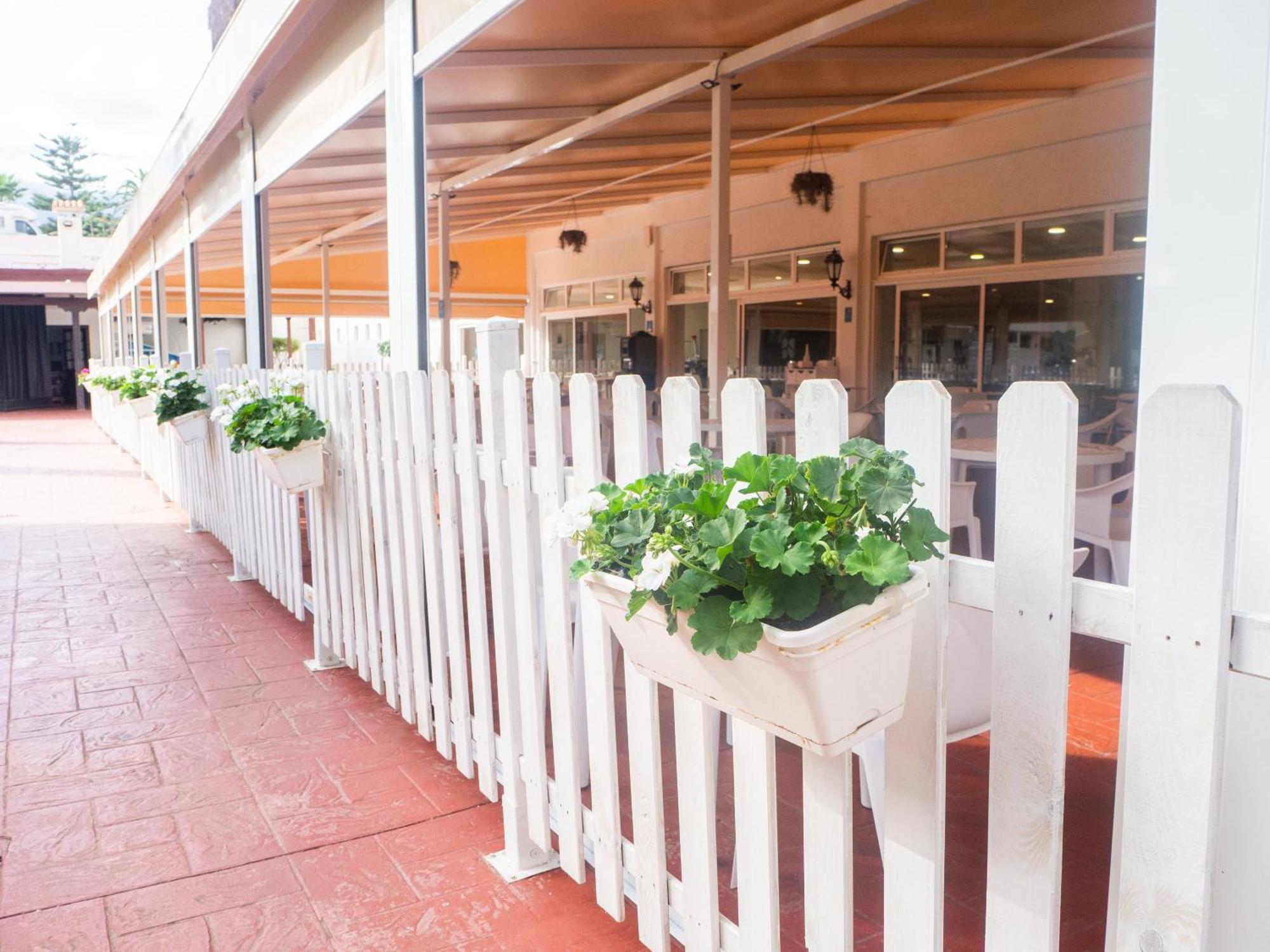 Complejo Bluesea Puerto Resort Compuesto Por Hotel Canarife Y Bonanza Palace Puerto de la Cruz  Ngoại thất bức ảnh